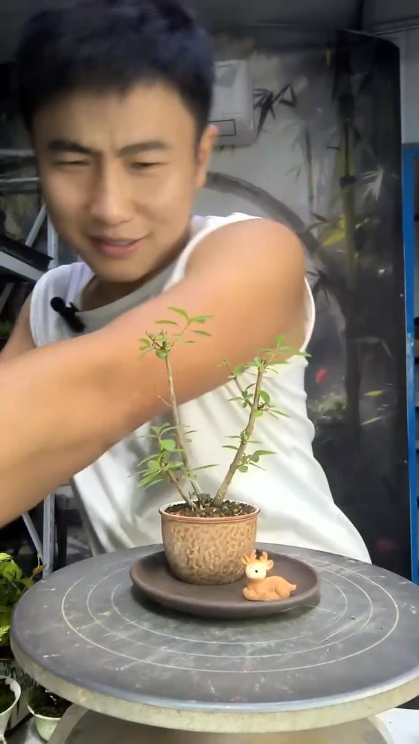 閒*中青园艺一物一拍160