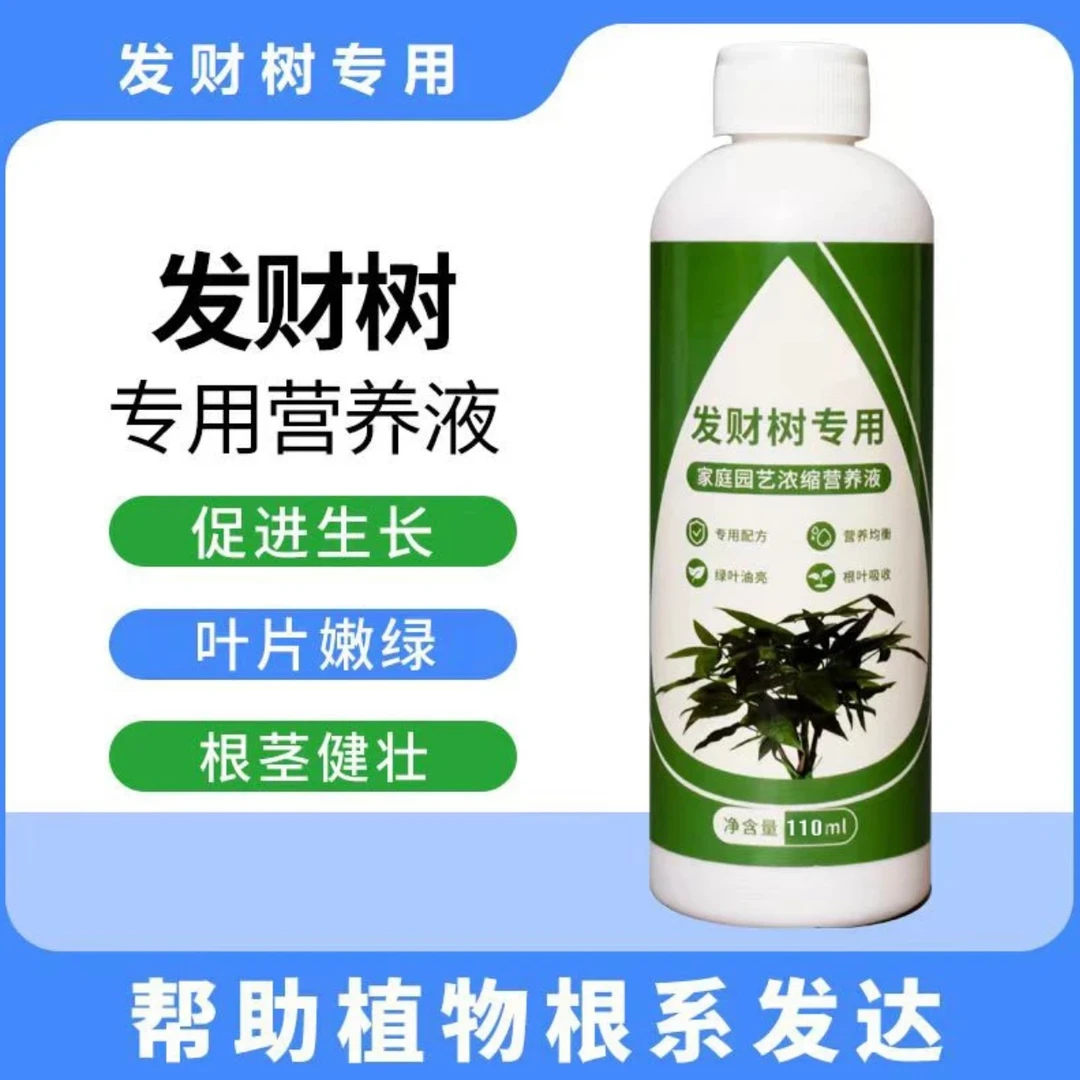 发财树营养液专用肥黄叶烂根急救水培绿植物家用发财树专用营养液
