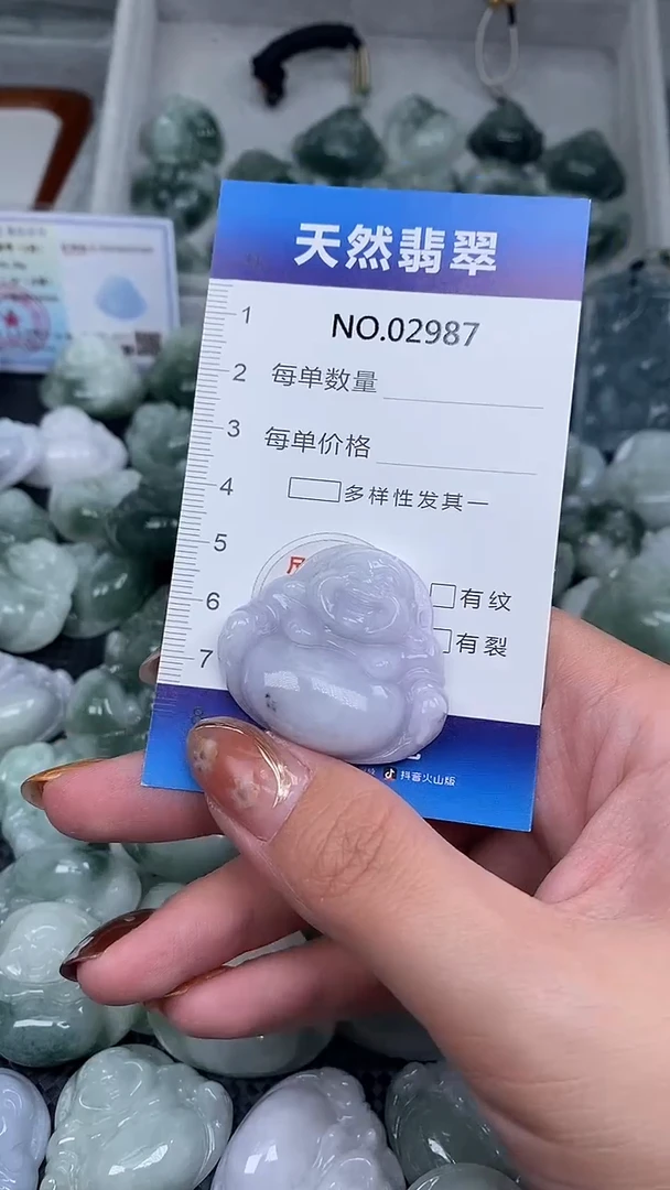 颈饰未镶嵌翡翠天然A货翡翠2987