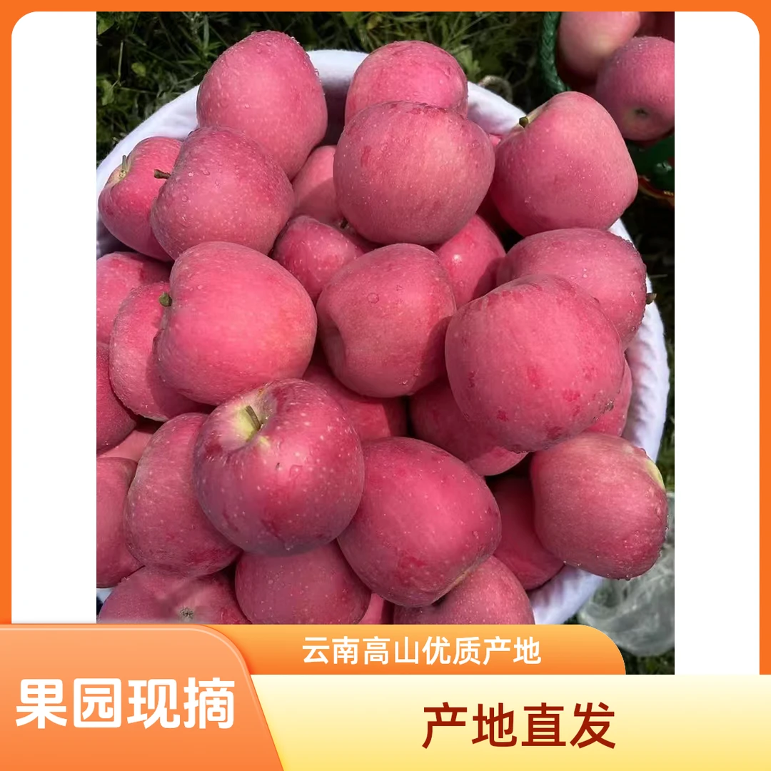 云南高山种植晚熟富士冰糖心丑苹果多汁新鲜应季水果现摘现发