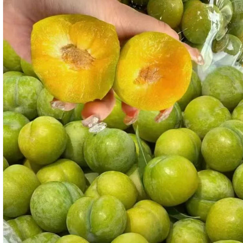 贵州正宗六马蜂糖李/青皮黄心/脱骨/特大果