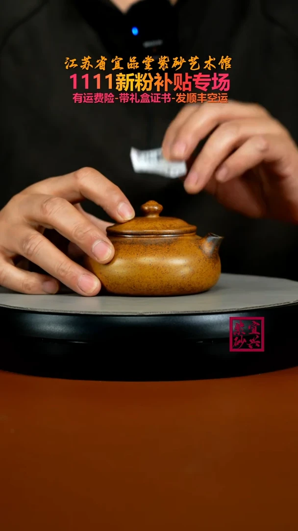 茶壶紫砂李传荣龙骨金砂柴烧光素寒江160CC