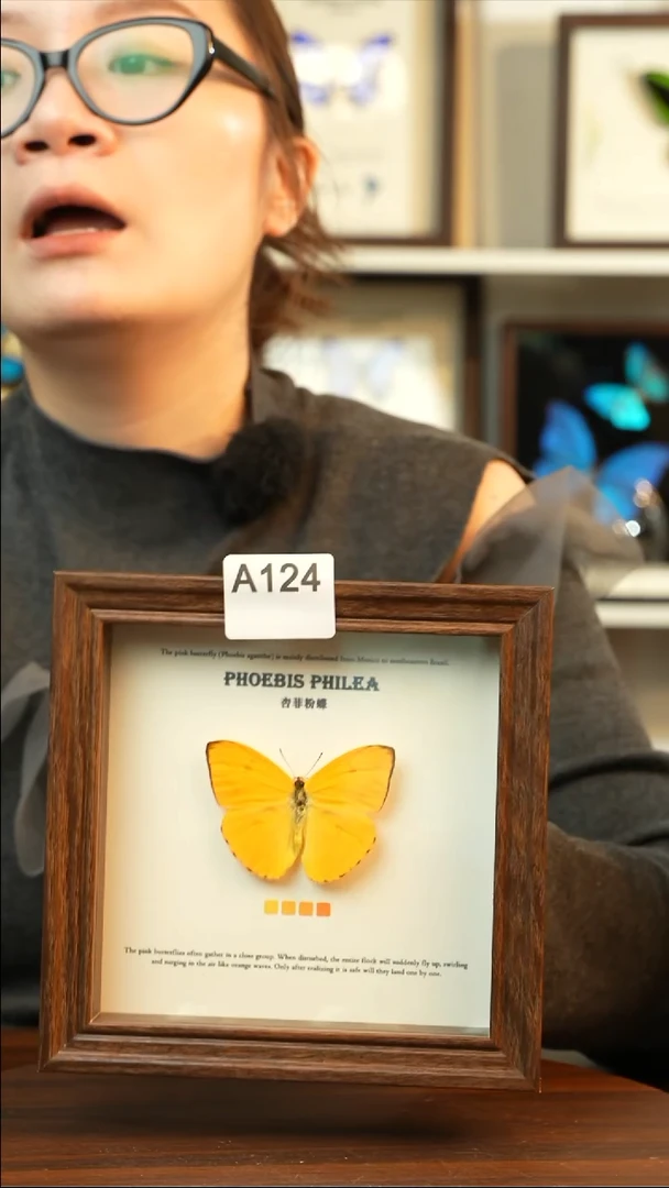 杏菲粉蝶-（6寸方黑色新款框）A124