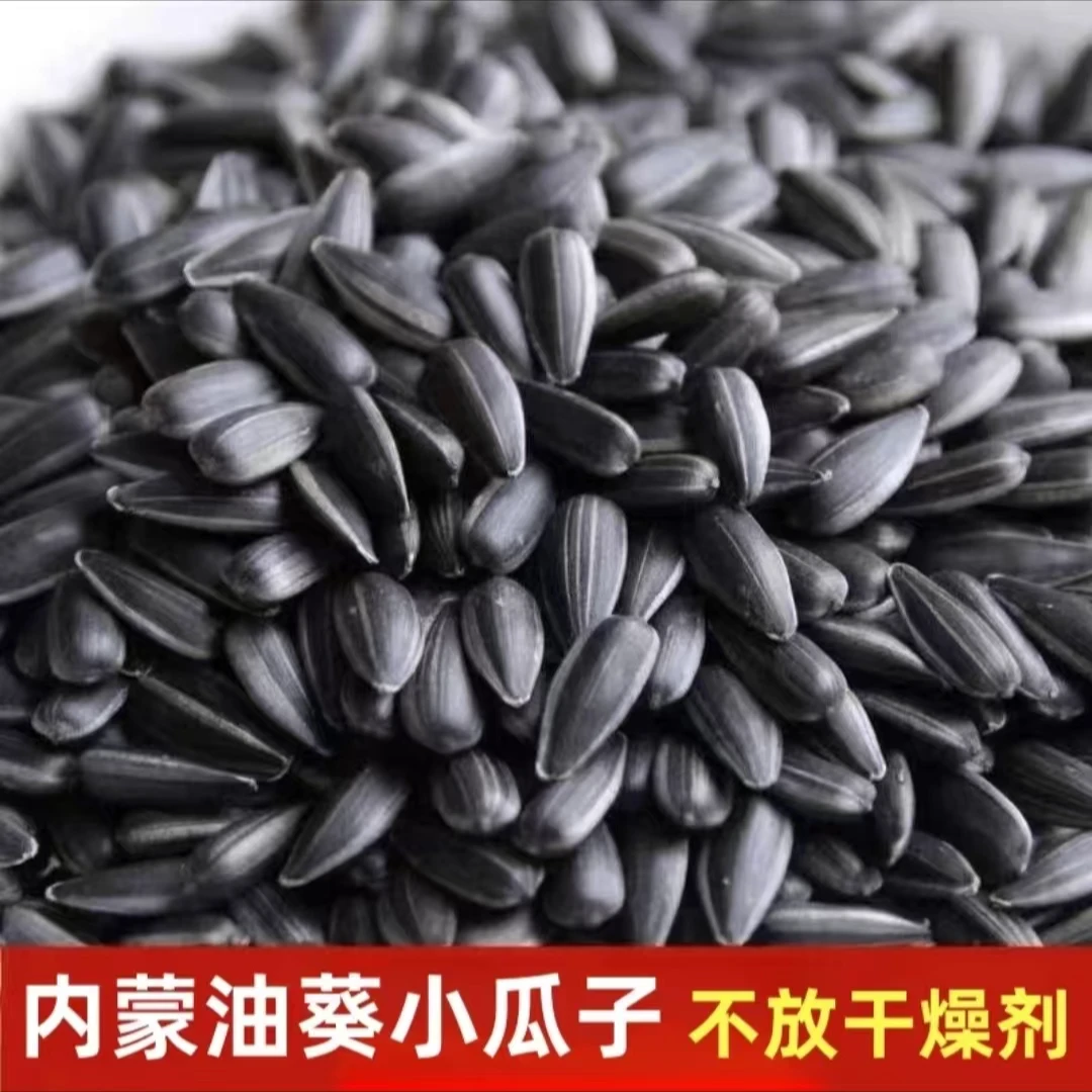 【不放干燥剂】黑珍珠小瓜子草原正宗原味精选油葵零食葵花籽葵瓜子