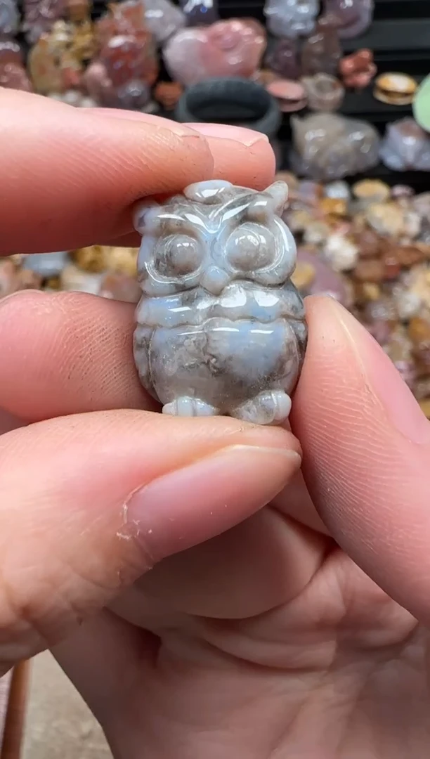 颈饰未镶嵌硅化珊瑚（珊瑚玉）317