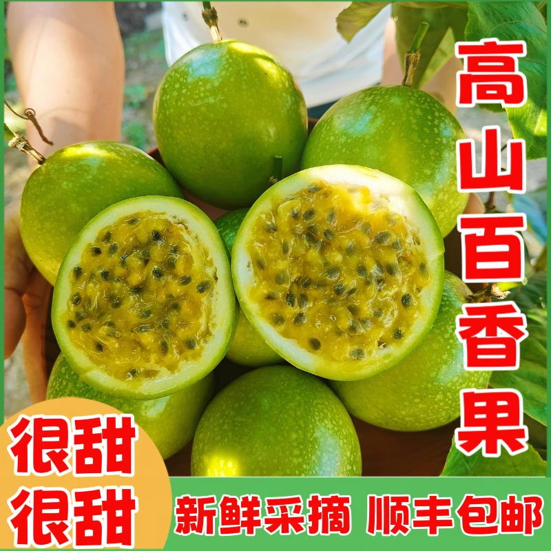 (纯桂林黄金高山百香果)广西桂林新鲜钦蜜九号香甜黄金百香果顺丰