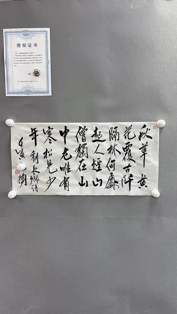 【闪购商品】书法雅艺典藏文化书法