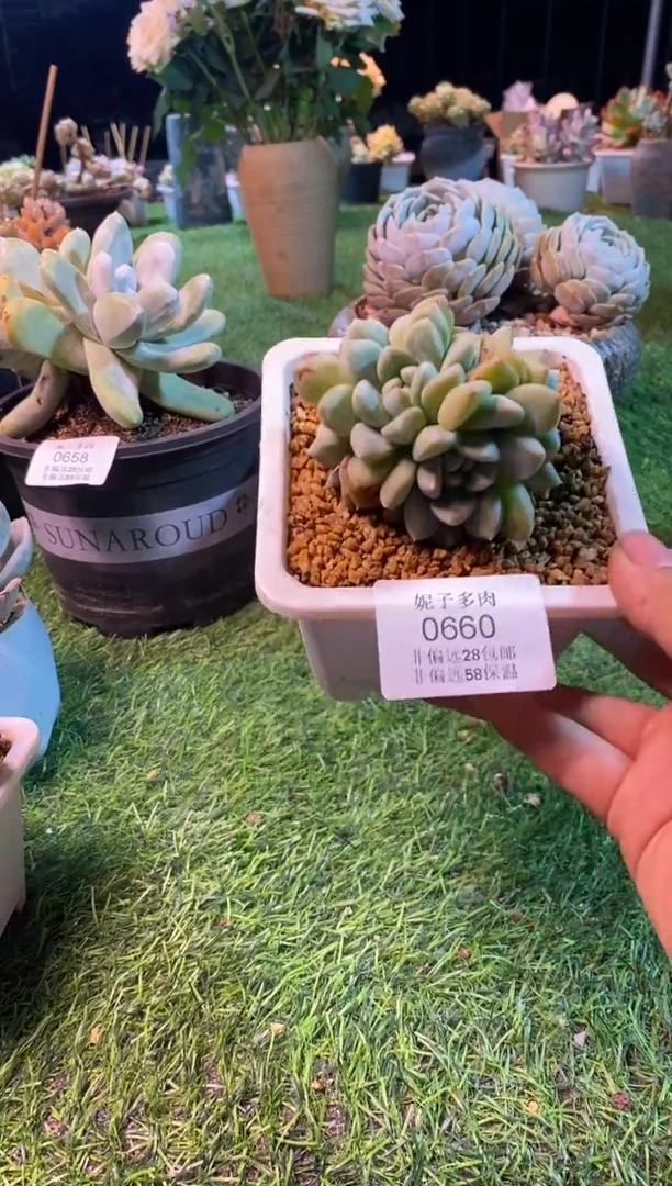 0660aa（满28包邮发货）