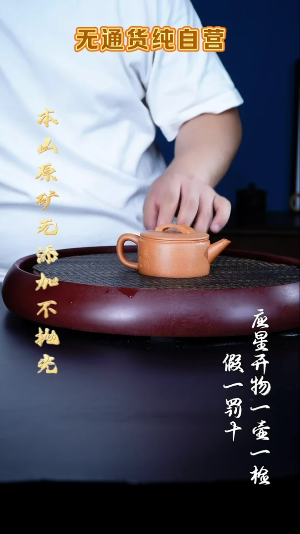 茶壶紫砂至纯宝山黄金段 汉瓦180cc