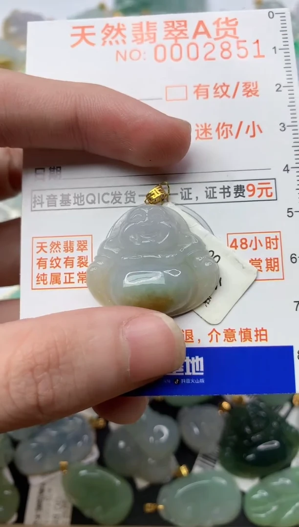 【闪购商品】翡翠颈饰18K金镶嵌4...........