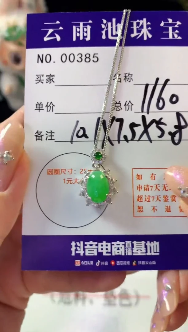 翡翠银S925镶嵌颈饰翡翠