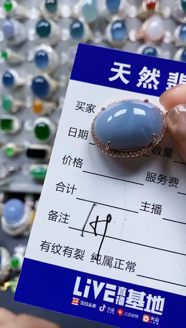 翡翠银S925镶嵌颈饰0159