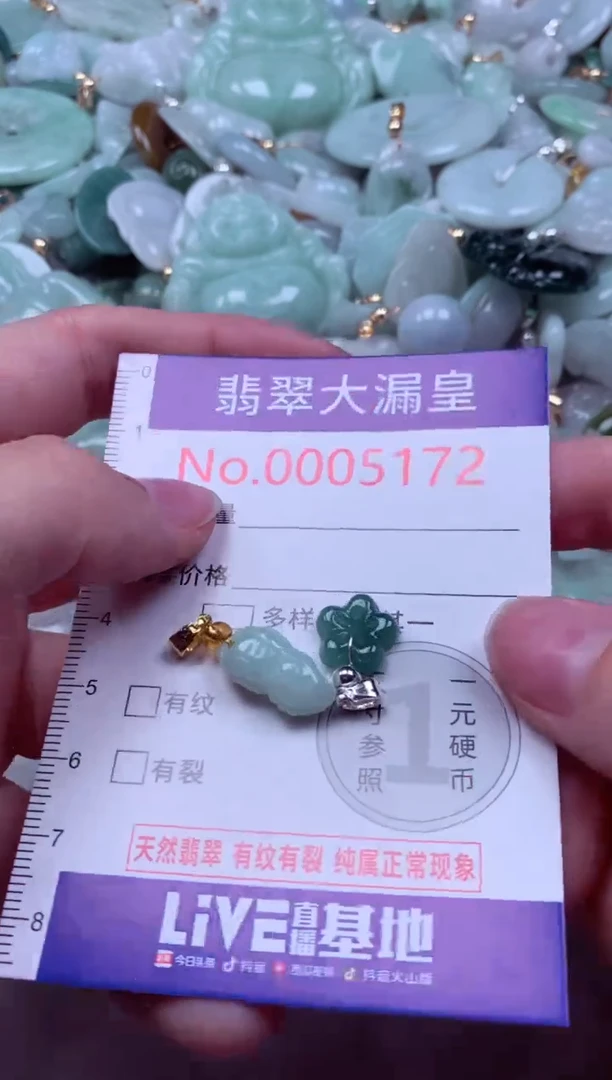 吊坠(不含链)未镶嵌翡翠5172