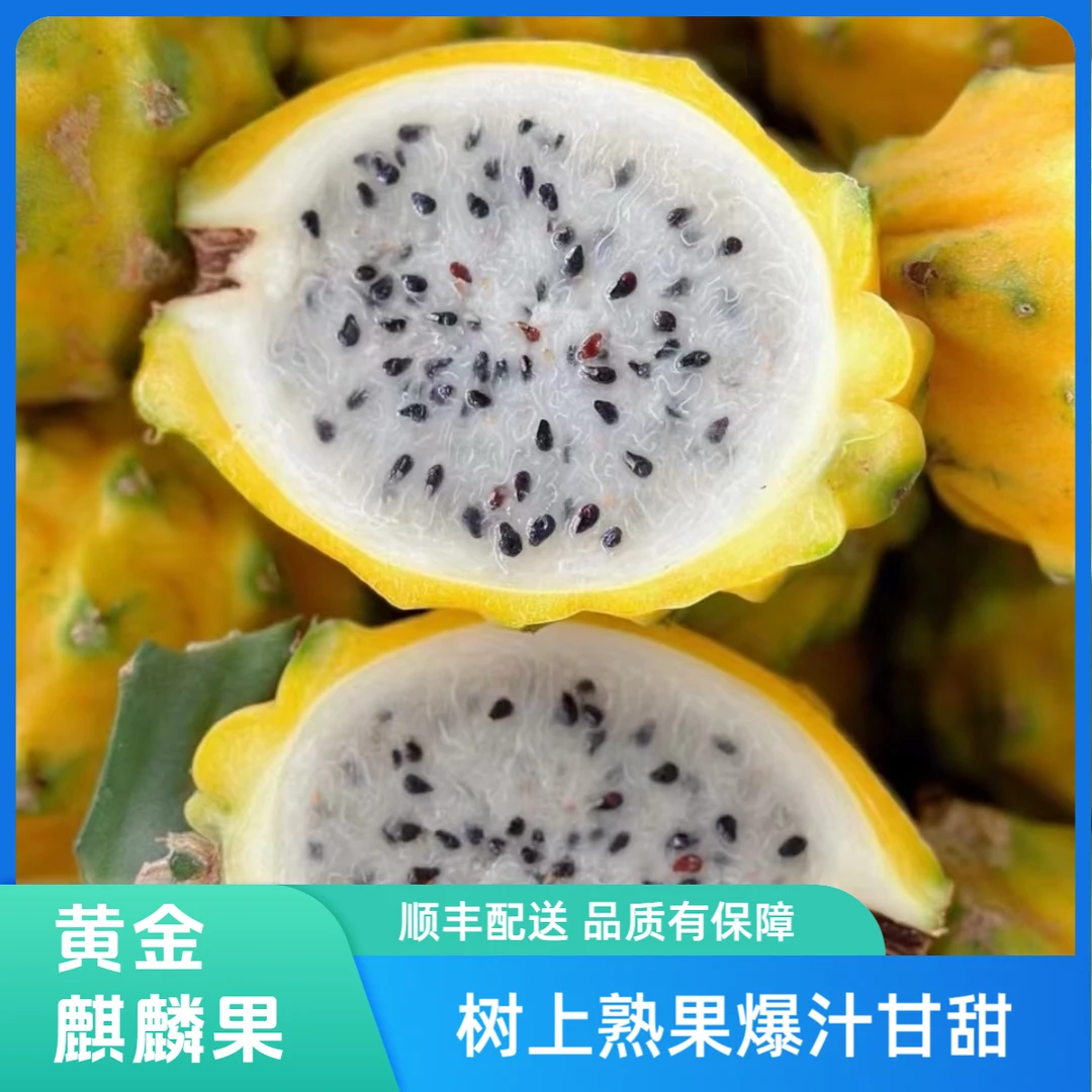 顺丰次日达B+级燕窝果麒麟果甘甜爆汁当季新鲜稀有水果