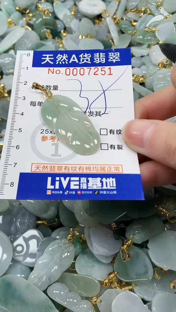颈饰未镶嵌翡翠纯天然a货翡翠