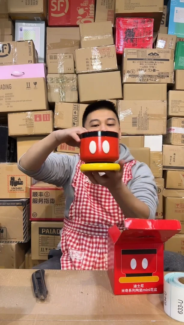 【闪购商品】杯原盒米奇花盆111111111111