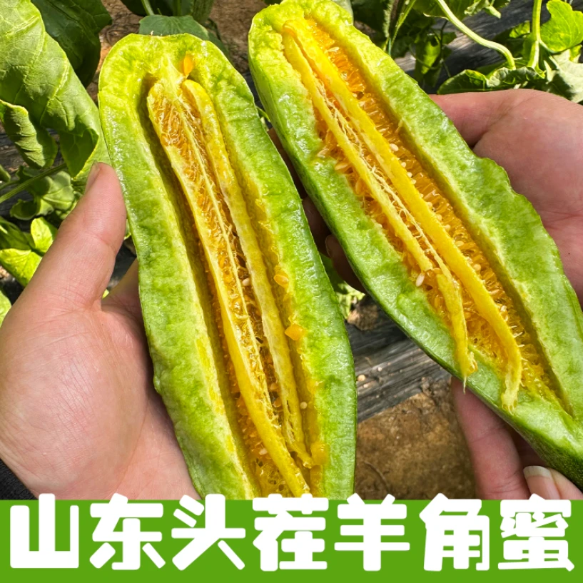 【顺丰/京东】山东头茬羊角蜜甜瓜当季头茬新鲜水果现摘现发4.5斤