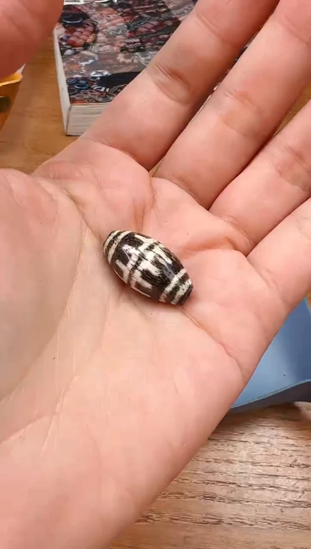 【闪购商品】木变石颈饰未镶嵌【 肖钟出品 】
