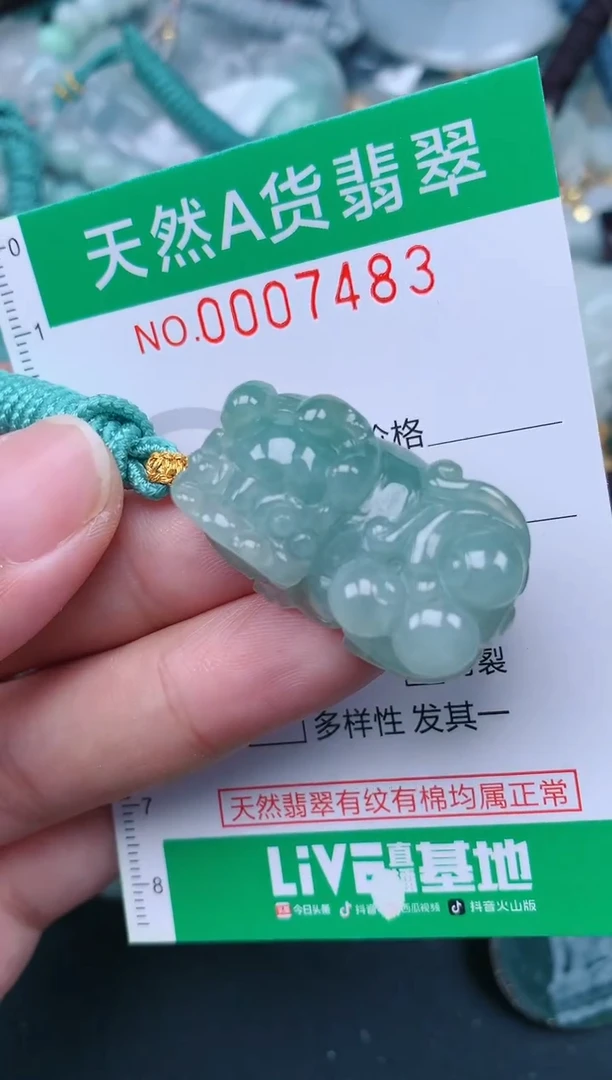 翡翠未镶嵌颈饰.0007483