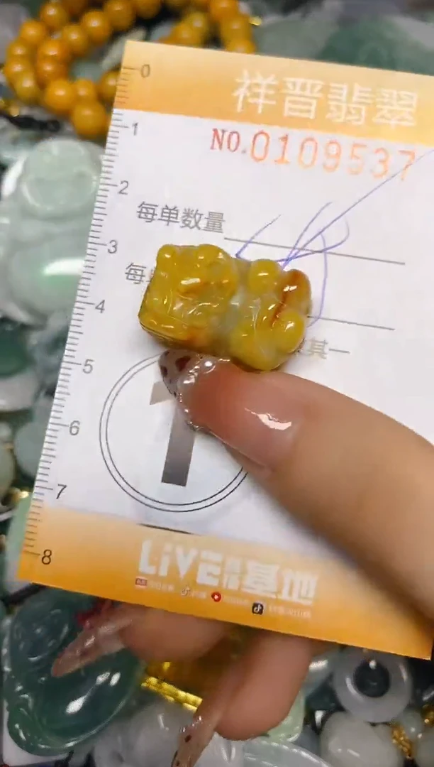 【闪购商品】翡翠颈饰未镶嵌闪购0109537