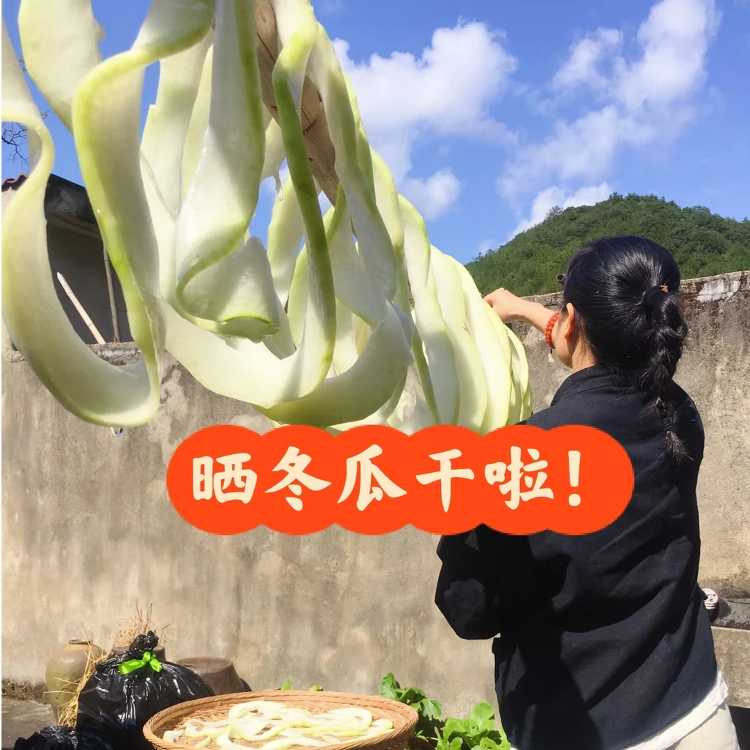 高山农家晾晒冬瓜干