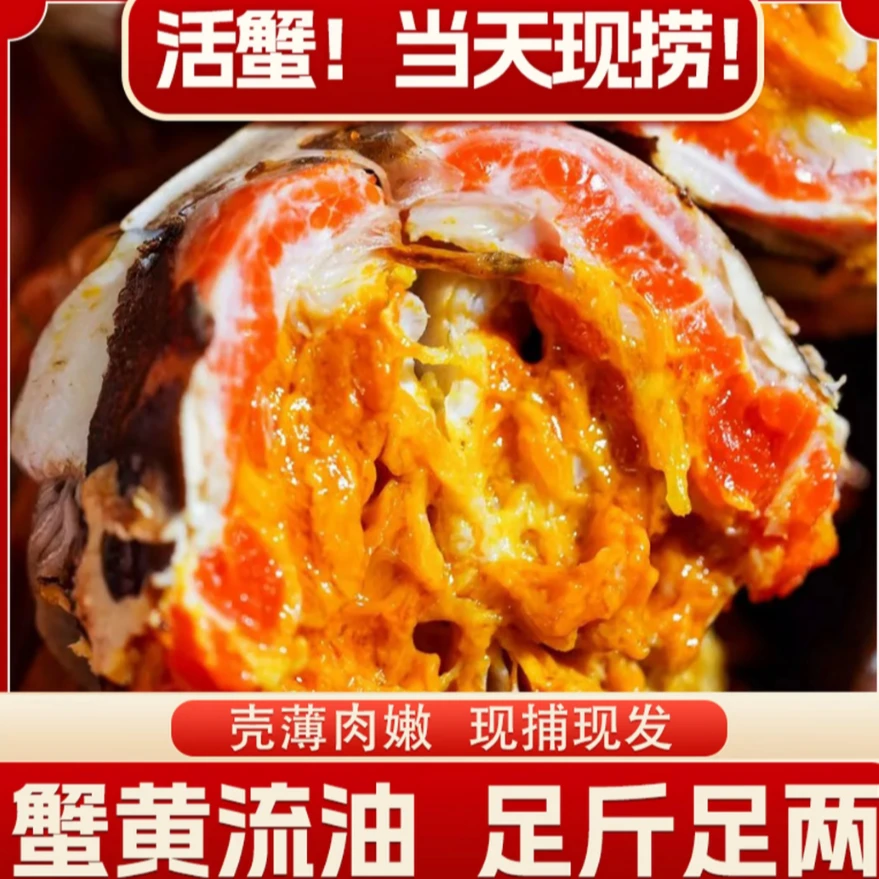 【共10只】江苏精品鲜活大闸蟹公4.7-4.4 母3.7-3.4两买8只送2只