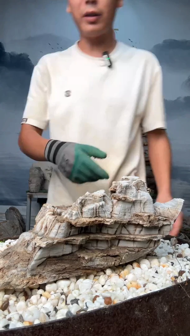 直播一物一拍链接