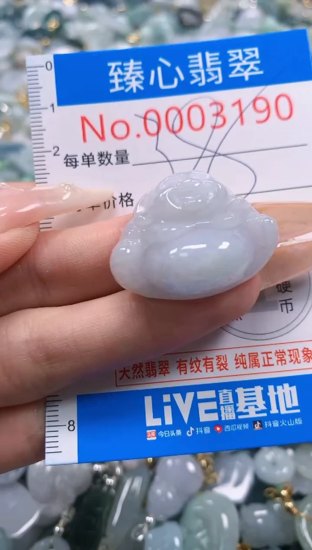 翡翠未镶嵌颈饰含绳0003190