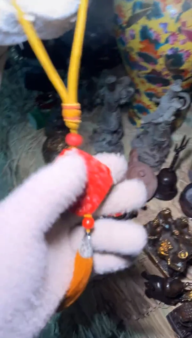 【闪购商品】香榧木雅琪精品专属链接19