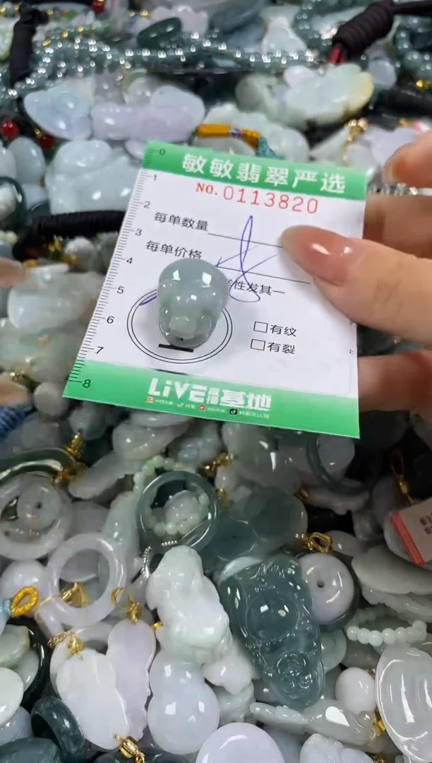 【闪购商品】翡翠颈饰未镶嵌闪购0113820