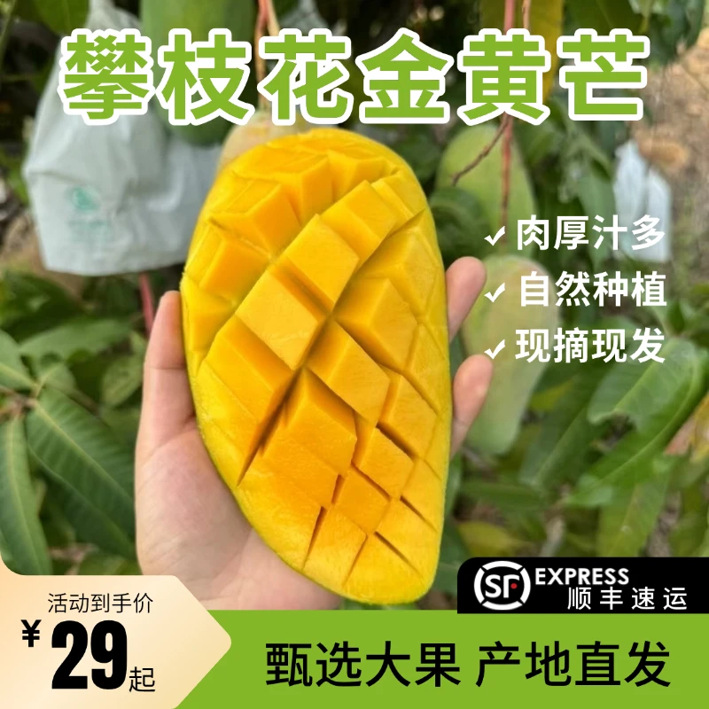 【顺丰发货】正宗四川攀枝花黄皮金黄芒果应季水果皮薄肉厚爆甜多汁