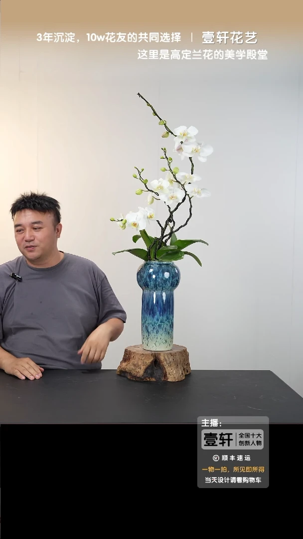 015号链接【一物一拍】艺术盆景