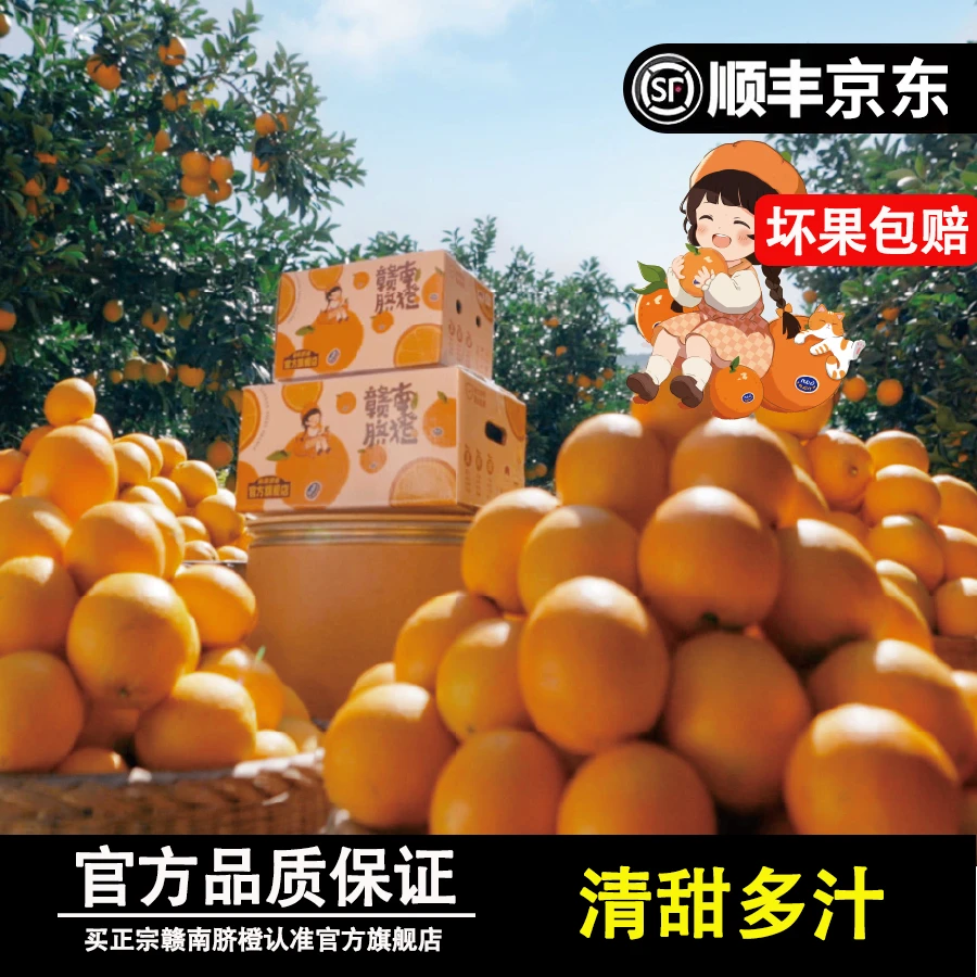 【品质保证】正宗赣南脐橙新鲜采摘5/10斤产地直发精品大果水果