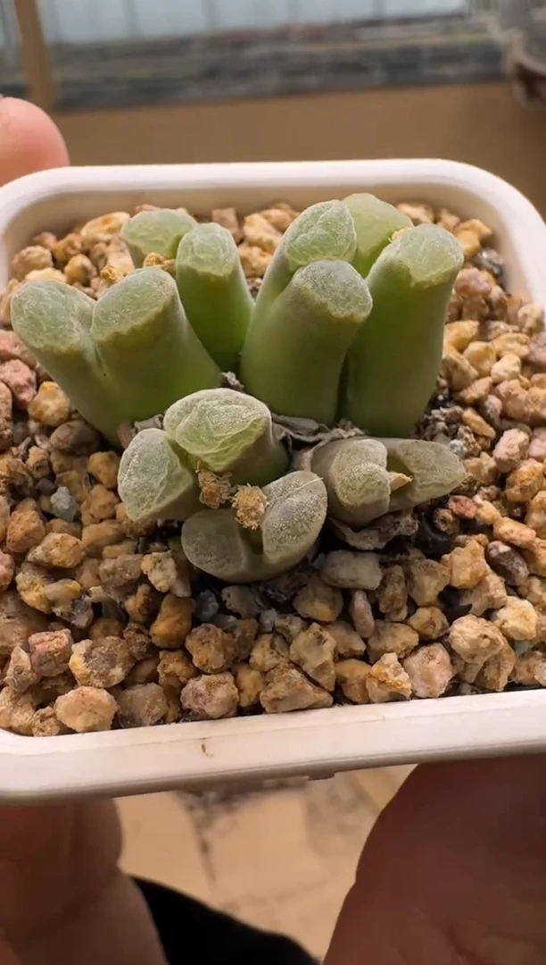 【闪购商品】1/21-123