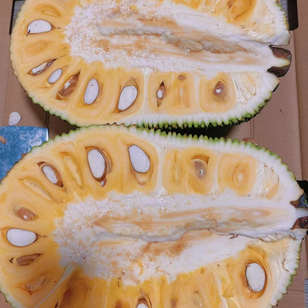越南红肉菠萝蜜一个（10斤左右）越南
