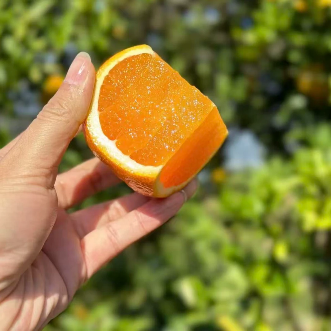 纽荷尔脐橙爆汁多汁