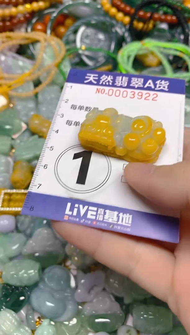 颈饰未镶嵌翡翠0003922