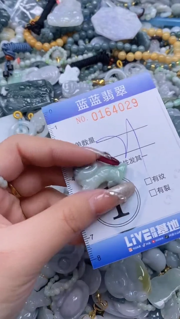 【闪购商品】翡翠颈饰未镶嵌闪购0164029