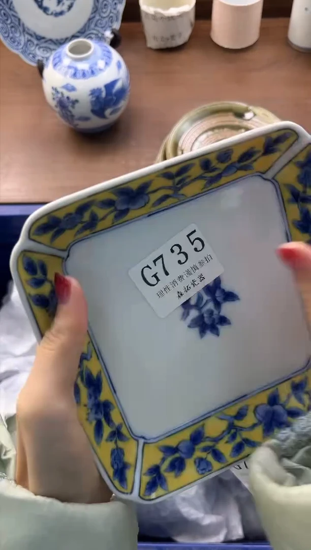 【闪购商品】瓷片----------G735