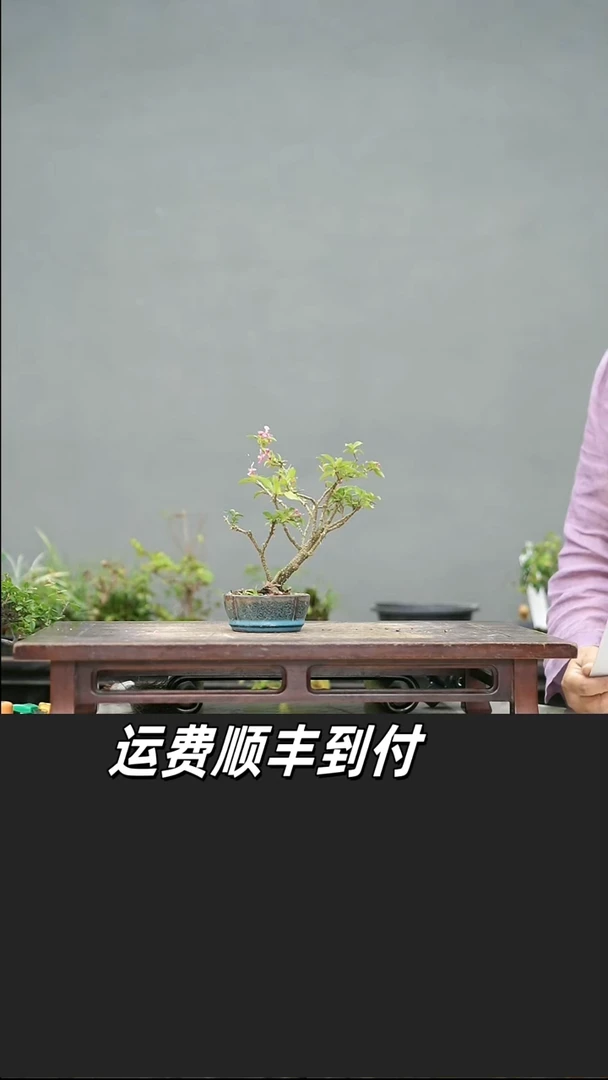 林**景18