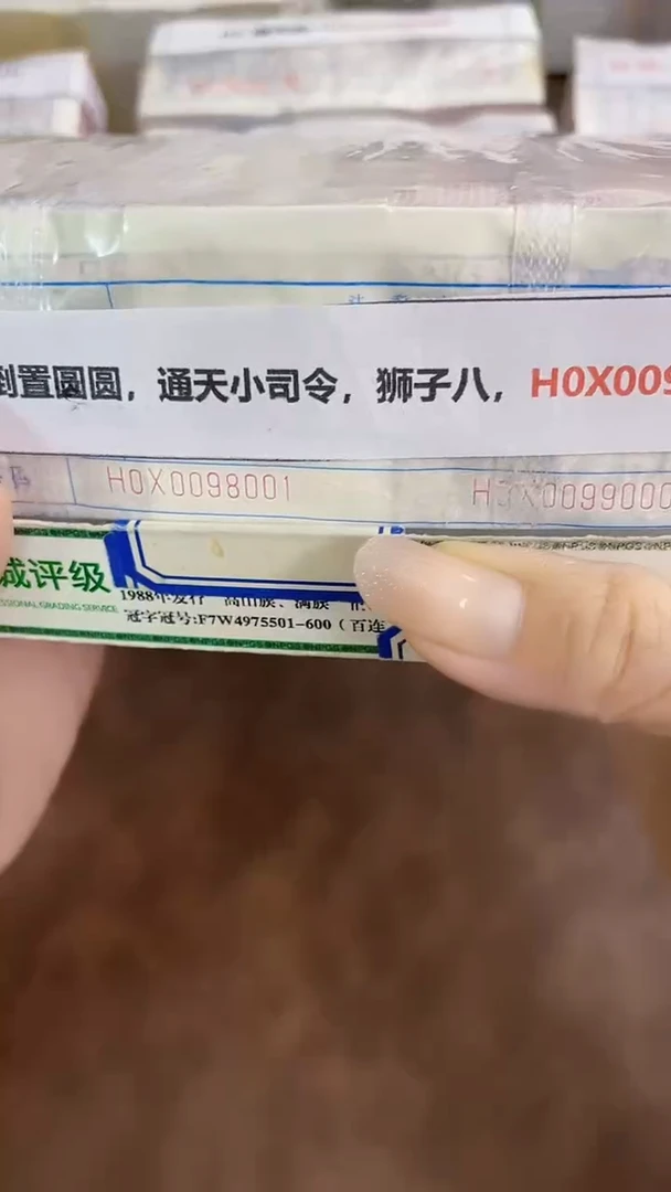 M 05，全倒置圆圆，通天小司令，狮子八，H0X0098888