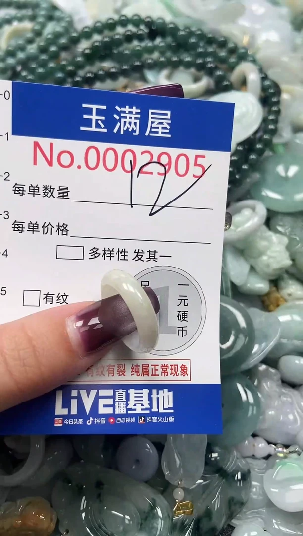 颈饰未镶嵌翡翠2905