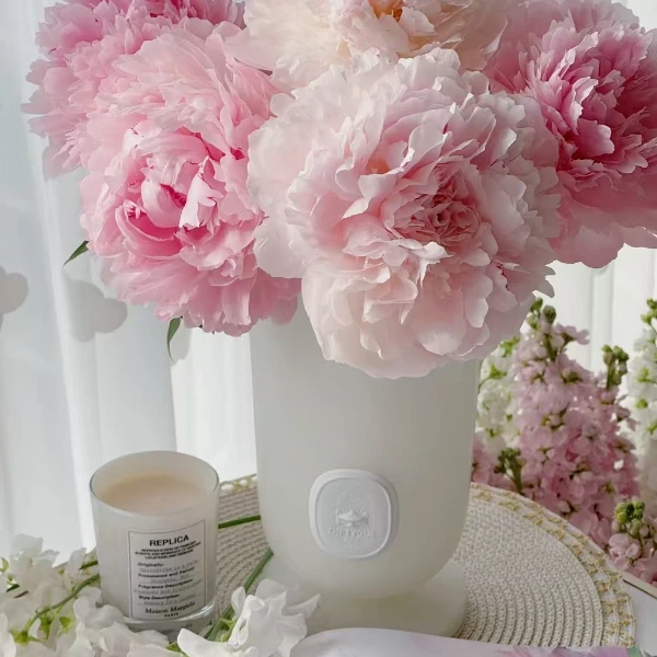 【牡丹现货】山东重瓣牡丹鲜花鲜切花油画牡丹插花白色牡丹鲜花
