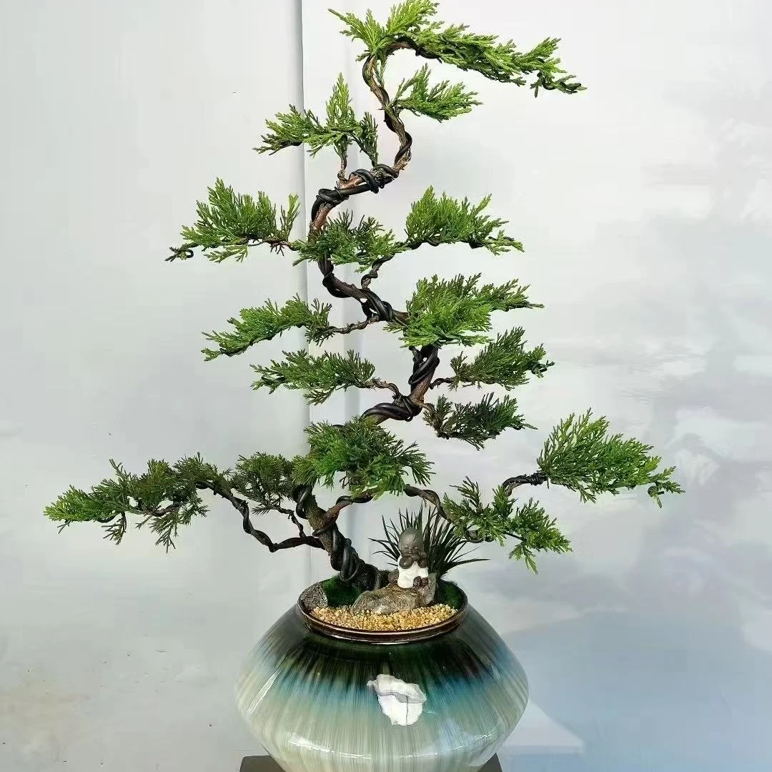 台湾真柏造型盆景（一物一拍）