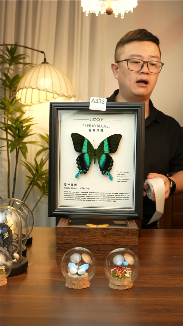 爱神凤蝶10欧式黑框A333