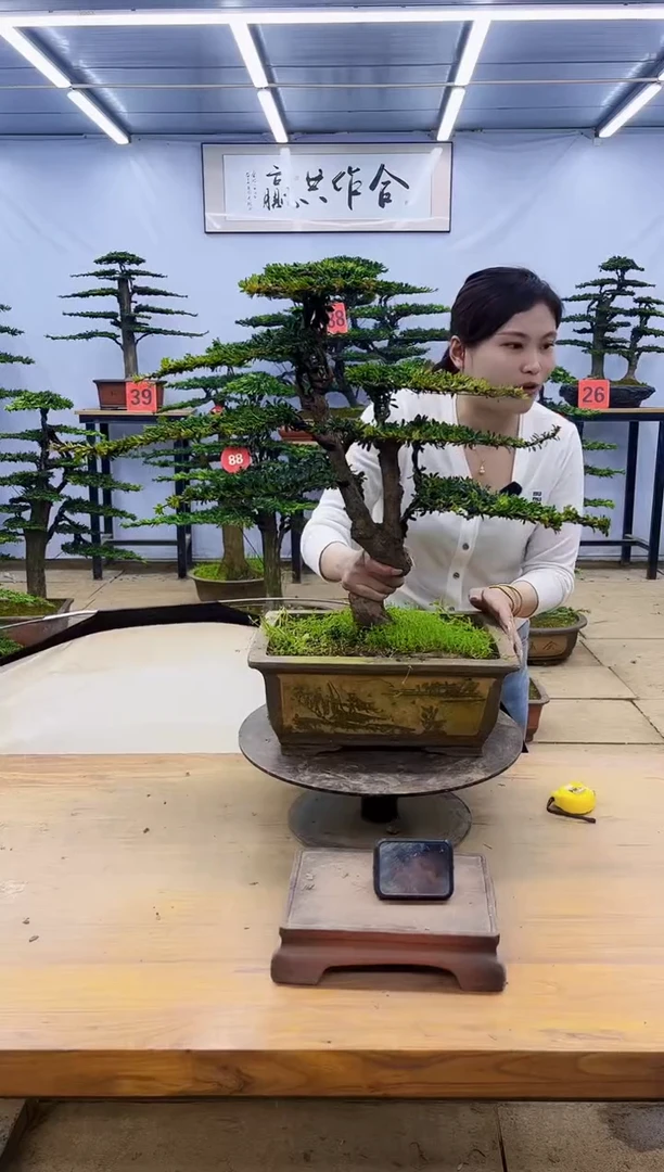 一物一拍，所见即所得