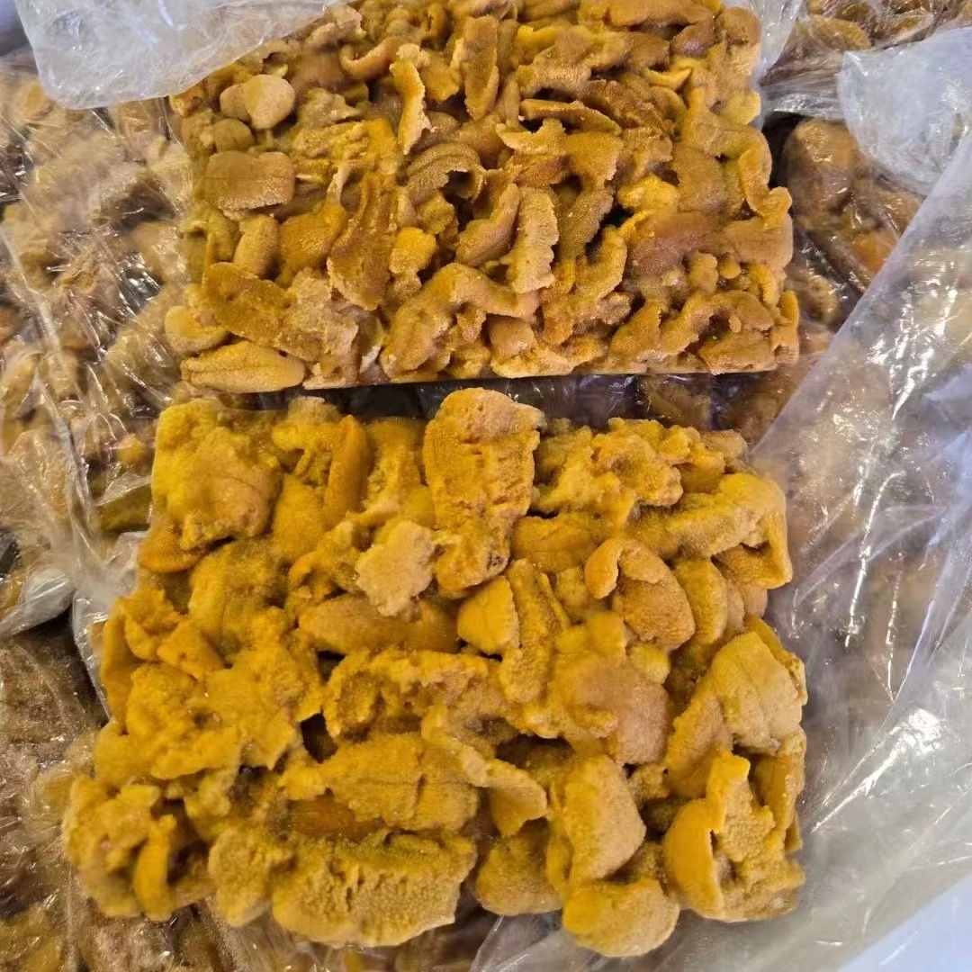 紫海胆6-8块三斤顺丰全国包邮