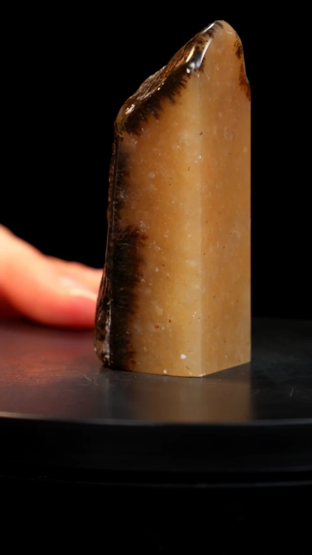 田黄石水草稀少品种