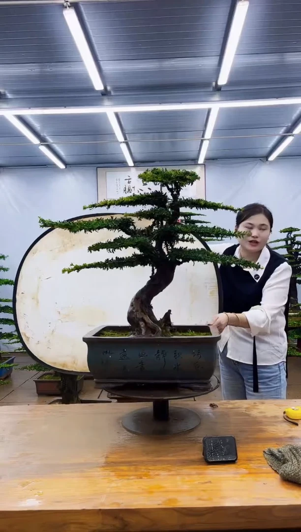 无花朵一物一拍，所见即所得