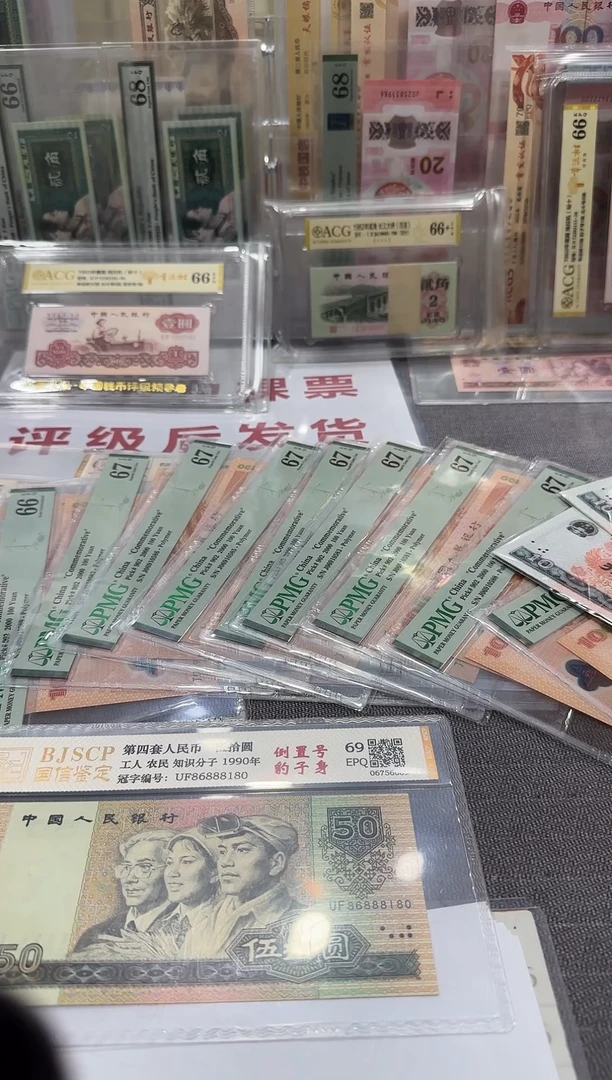 50  倒置号  豹子身